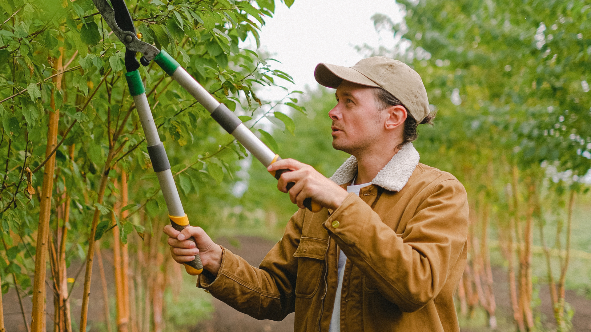 Garden Labour
